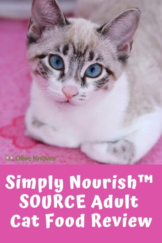 Simply Nourish™ SOURCE Adult Cat Food Review OliveKnows