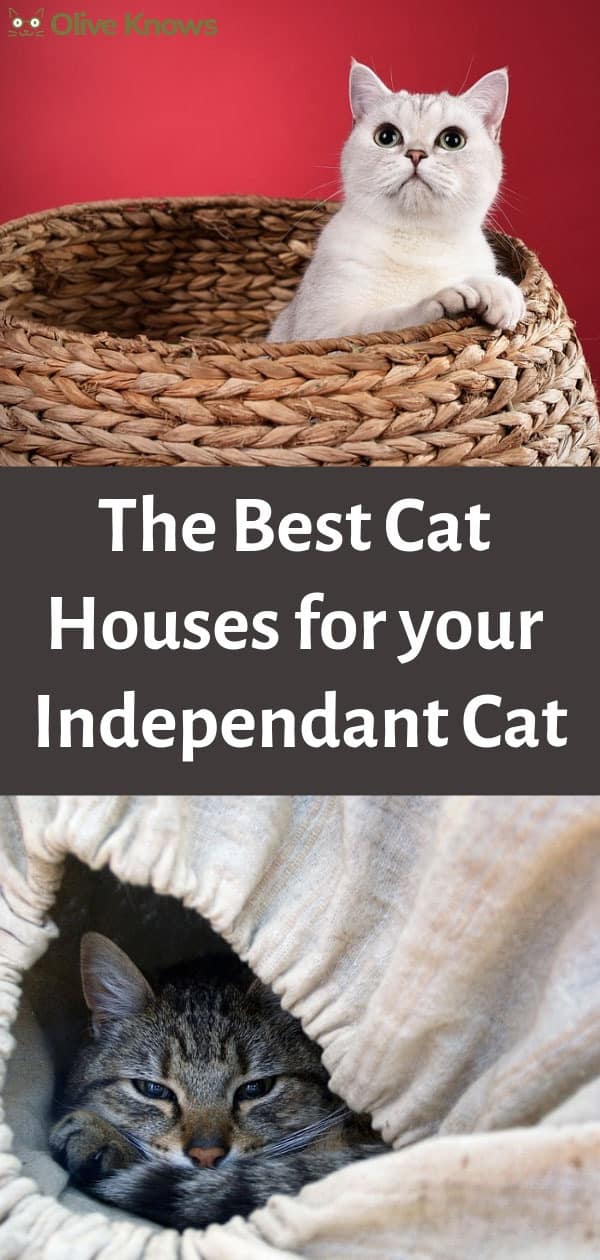 The Best Cat Houses for your Independant Cat