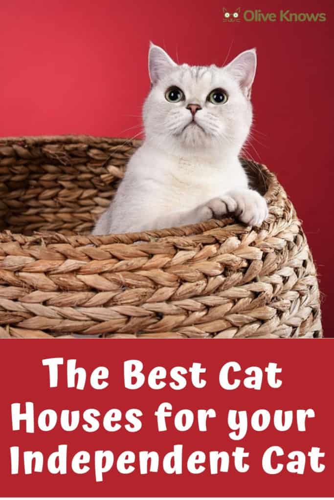 The Best Cat Houses for your Independent Cat OliveKnows