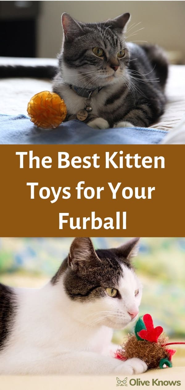 The Best Kitten Toys for Your Furball