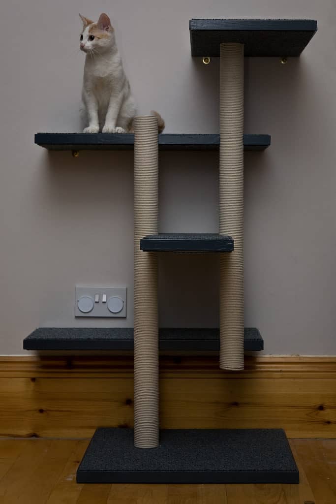 cat-tree