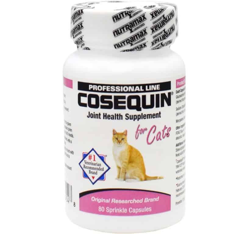 Does my Cat Need Cosequin? OliveKnows