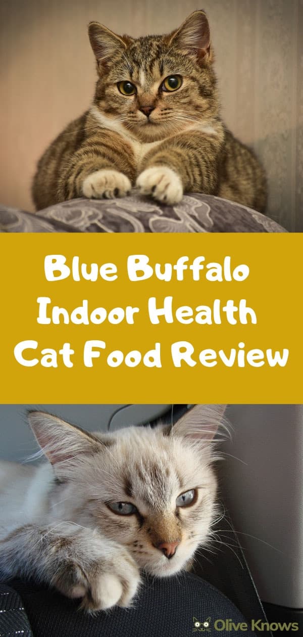 Blue Buffalo Indoor Health Cat Food Review