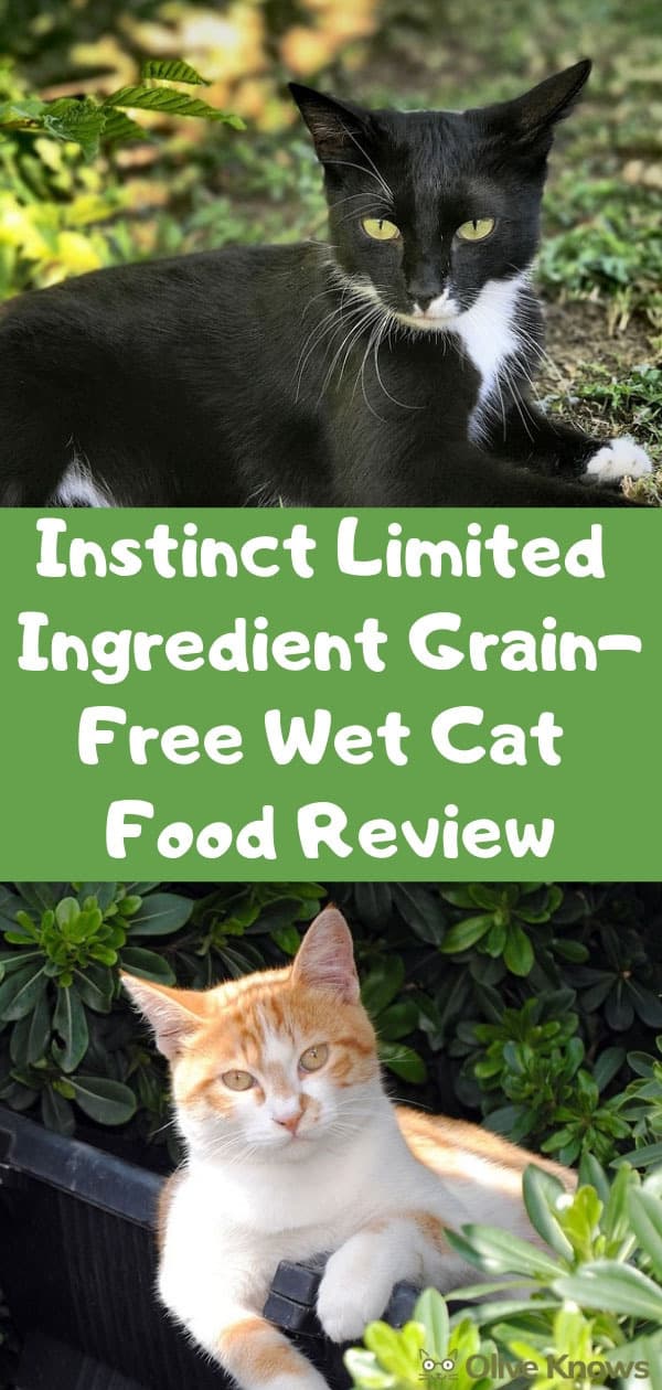 Instinct Limited Ingredient GrainFree Wet Cat Food Review OliveKnows