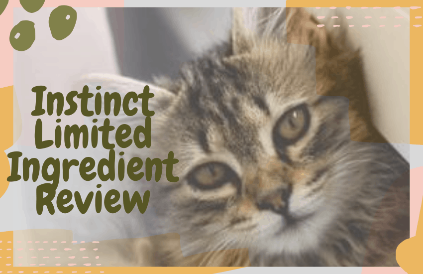 Instinct Limited Ingredient Review