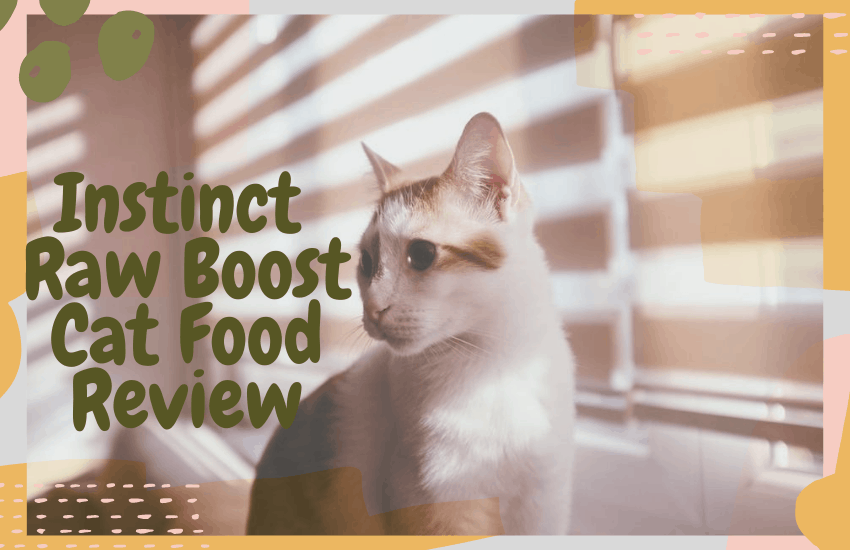 Instinct Raw Boost Cat Food Review