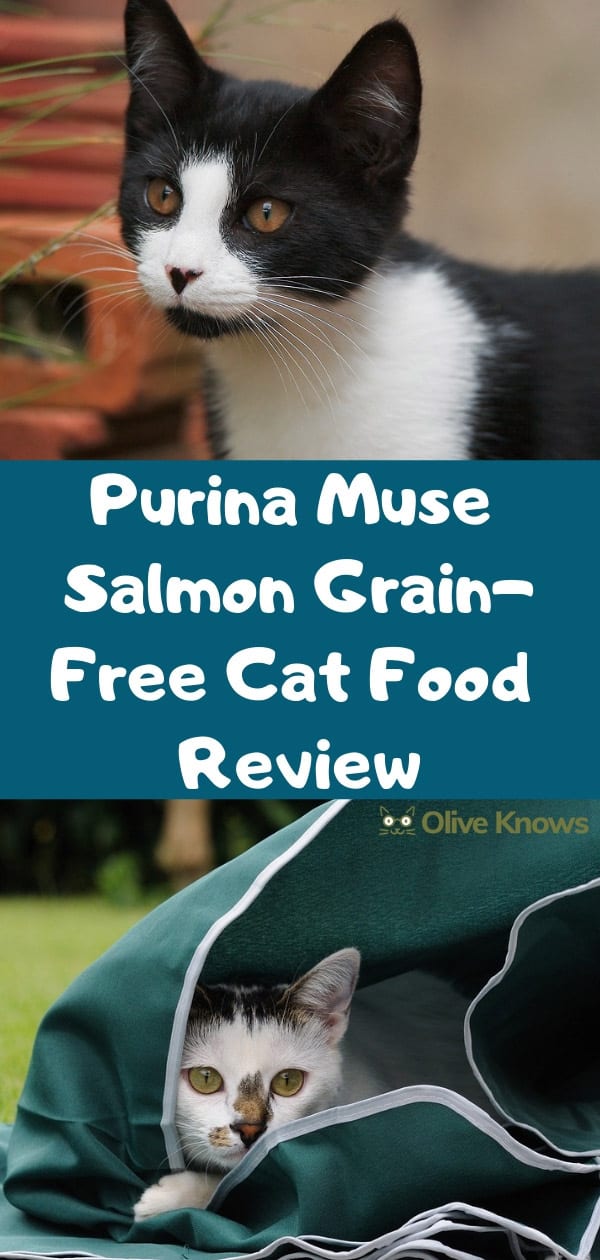 Purina Muse Salmon Grain-Free Cat Food Review