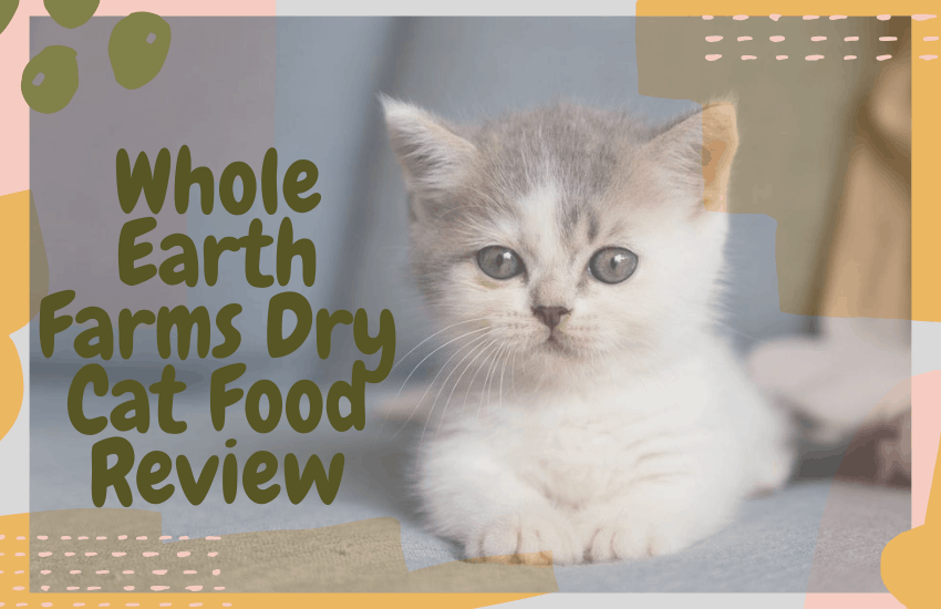 Whole Earth Farms Dry Cat Food Review