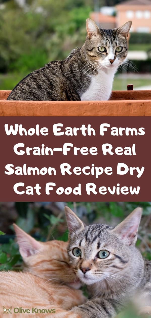 Whole Earth Farms Grain-Free Real Salmon Recipe Dry Cat Food Review