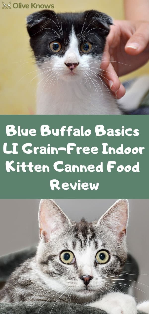 Blue Buffalo Basics LI Grain-Free Indoor Kitten Canned Food Review