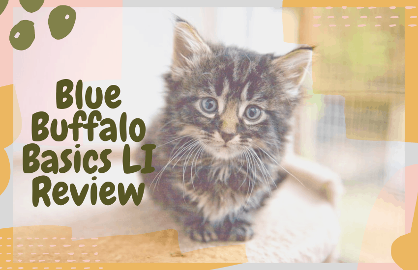 Blue Buffalo Basics LI Review