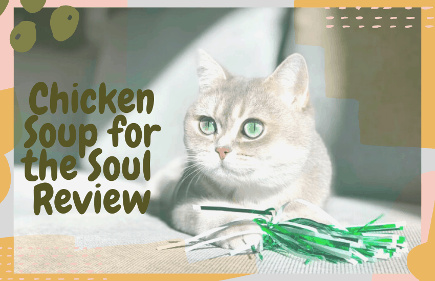 Chicken Soup for the Soul Review