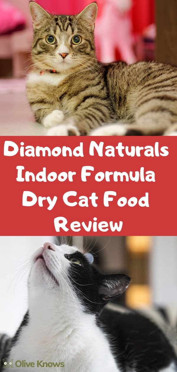 Diamond Naturals Indoor Formula Dry Cat Food Review