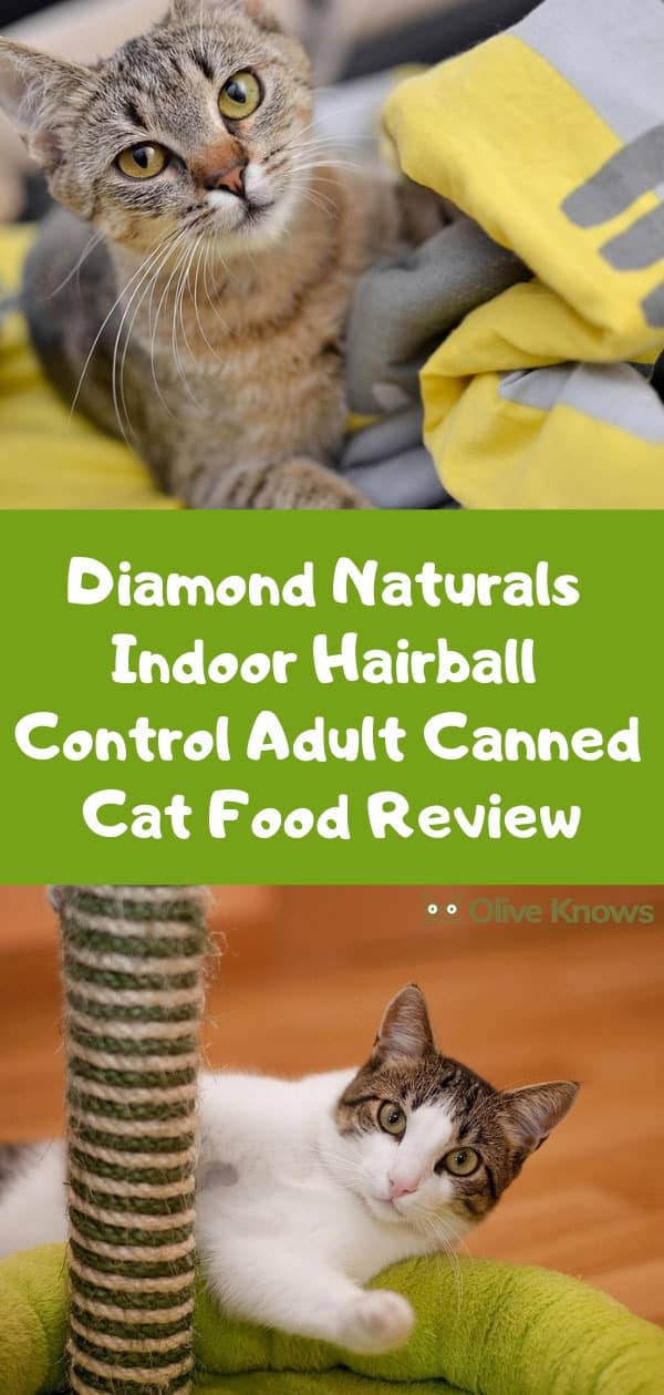 Diamond Naturals Indoor Hairball Control Adult Canned Cat Food Review