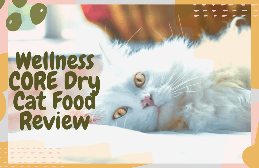 Wellness CORE Dry Cat Food Review