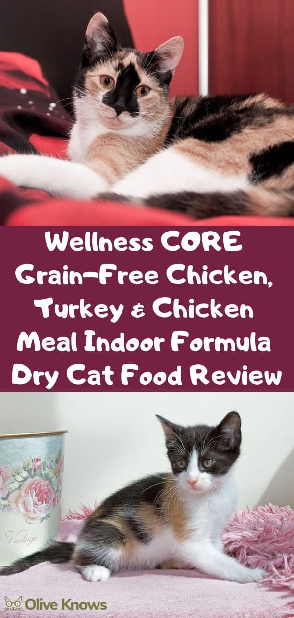 Wellness CORE Grain-Free Chicken, Turkey & Chicken Meal Indoor Formula Dry Cat Food Review