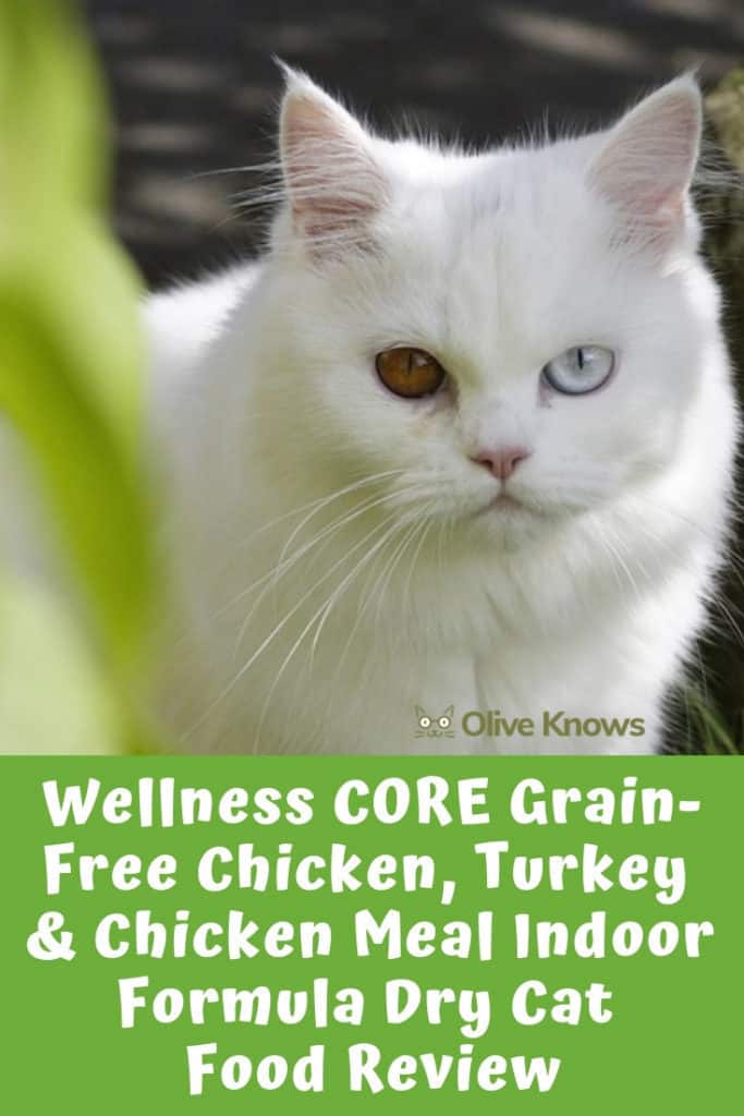 Wellness CORE GrainFree Chicken, Turkey & Chicken Meal Indoor Formula