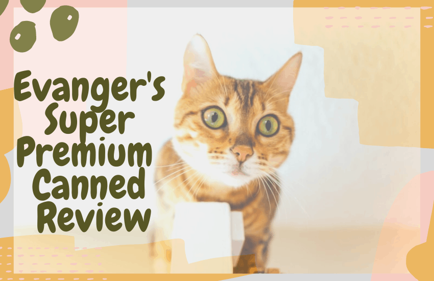 Evanger's Super Premium Canned Review