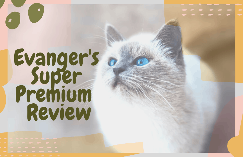 Evanger's Super Premium Review