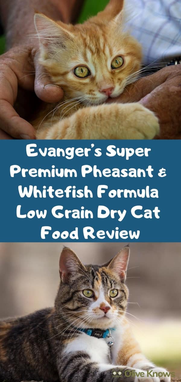 Evanger's Super Premium Pheasant & Whitefish Formula Low Grain Dry Cat Food Review