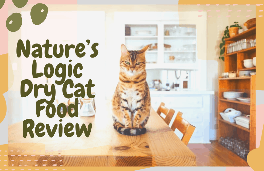 Nature’s Logic Dry Cat Food Review