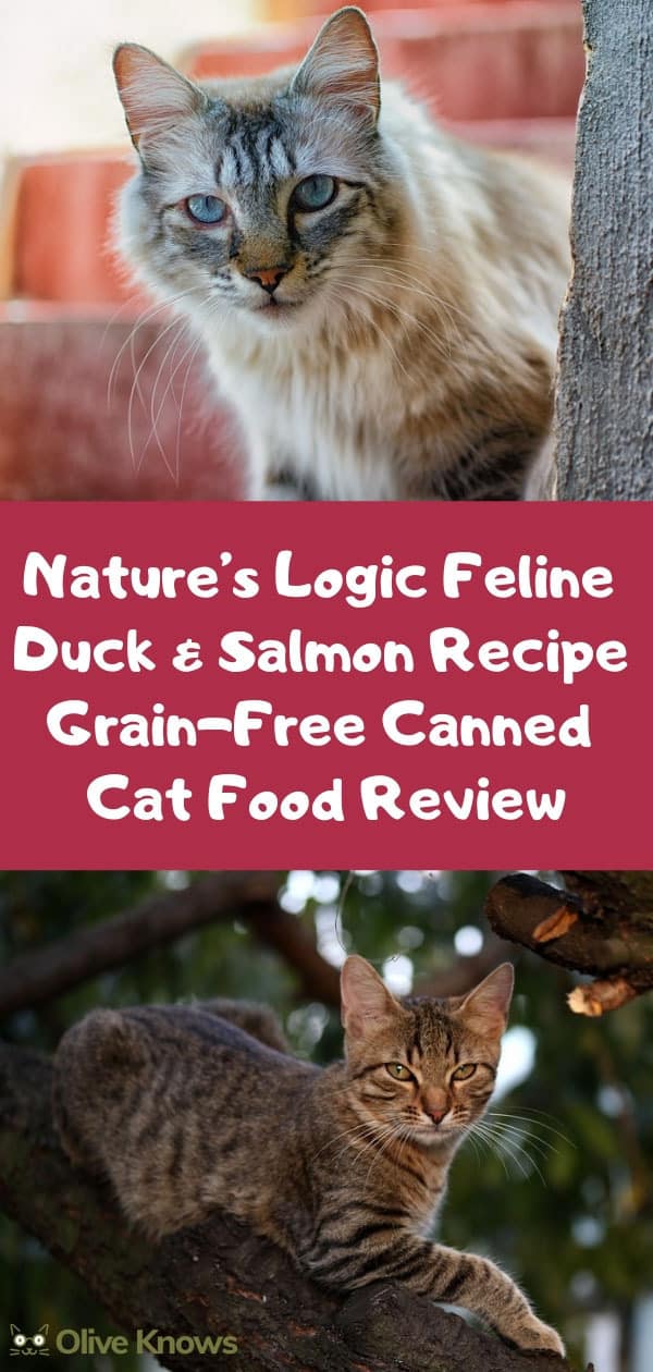 Nature’s Logic Feline Duck & Salmon Recipe Grain-Free Canned Cat Food Review