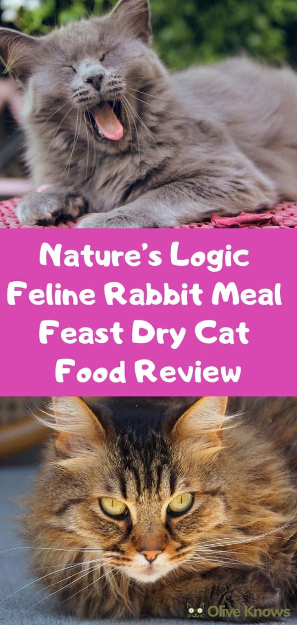 Nature's Logic Feline Rabbit Meal Feast Dry Cat Food Review