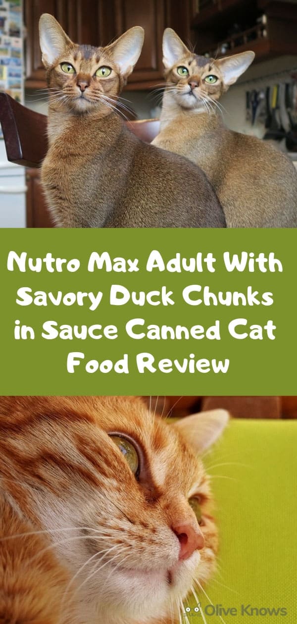 Nutro Max Adult With Savory Duck Chunks in Sauce Canned Cat Food Review