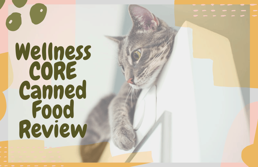 Wellness CORE Canned Food Review