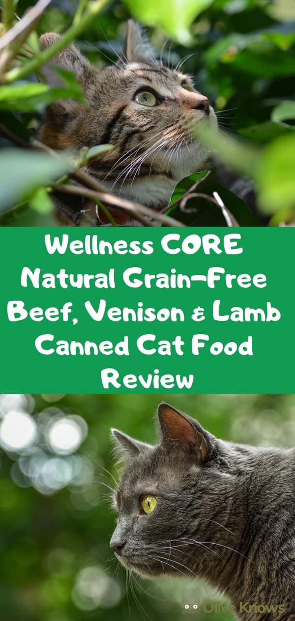 Wellness CORE Natural Grain-Free Beef, Venison & Lamb Canned Cat Food Review