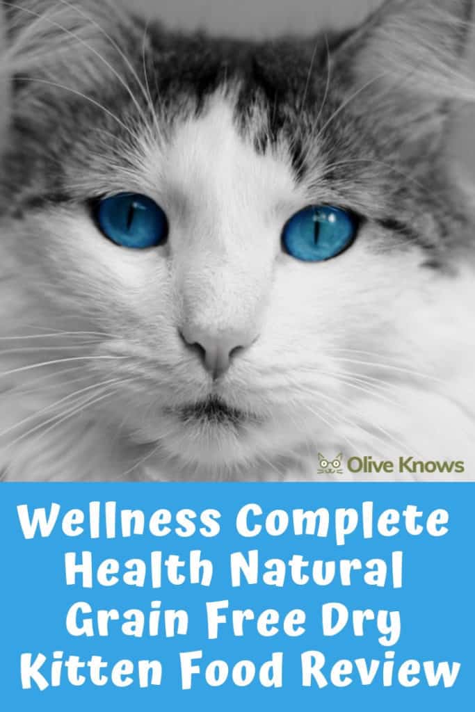 Wellness Complete Health Natural Grain Free Dry Kitten Food Review