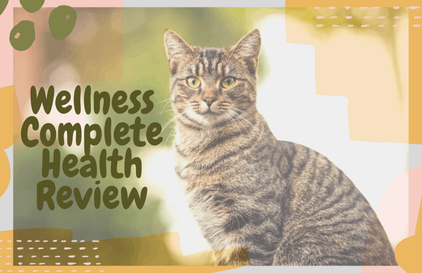 Wellness Complete Health Review