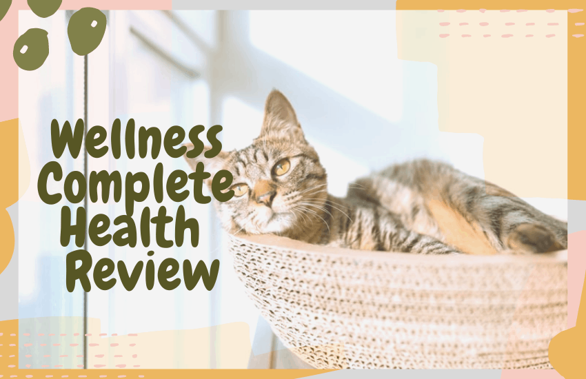 Wellness Complete Health Review