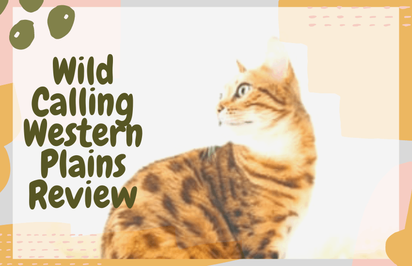 Wild Calling Western Plains Review