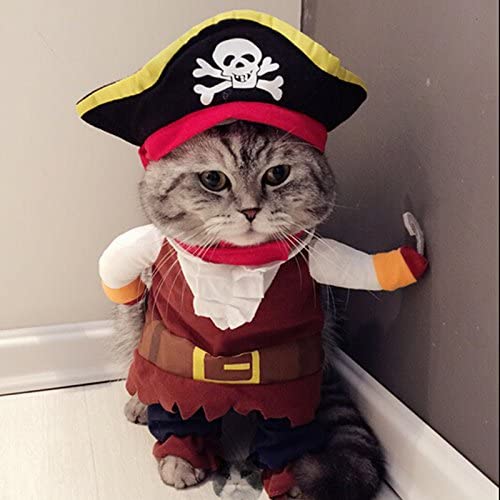 Idepet Cat Pirate Costume