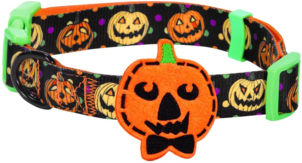 Blueberry Pet Halloween Collar