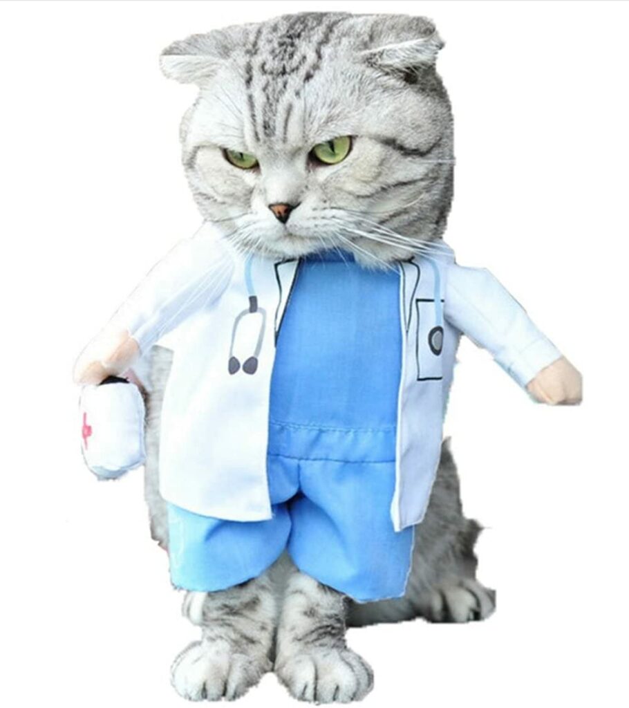 Mikayoo Doctor Costume