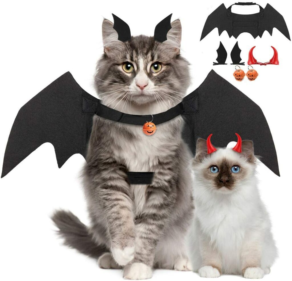 Best Cat Halloween Costumes - OliveKnows