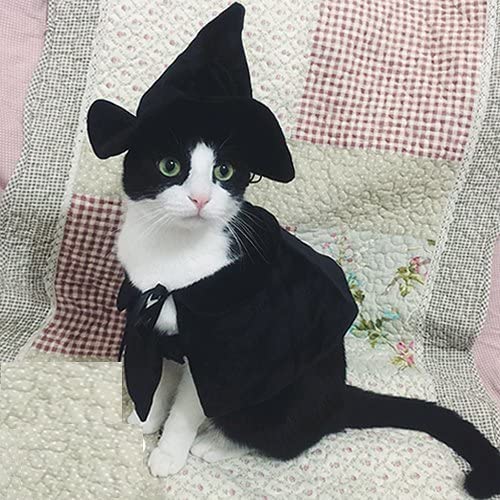 Cat Witch Costume