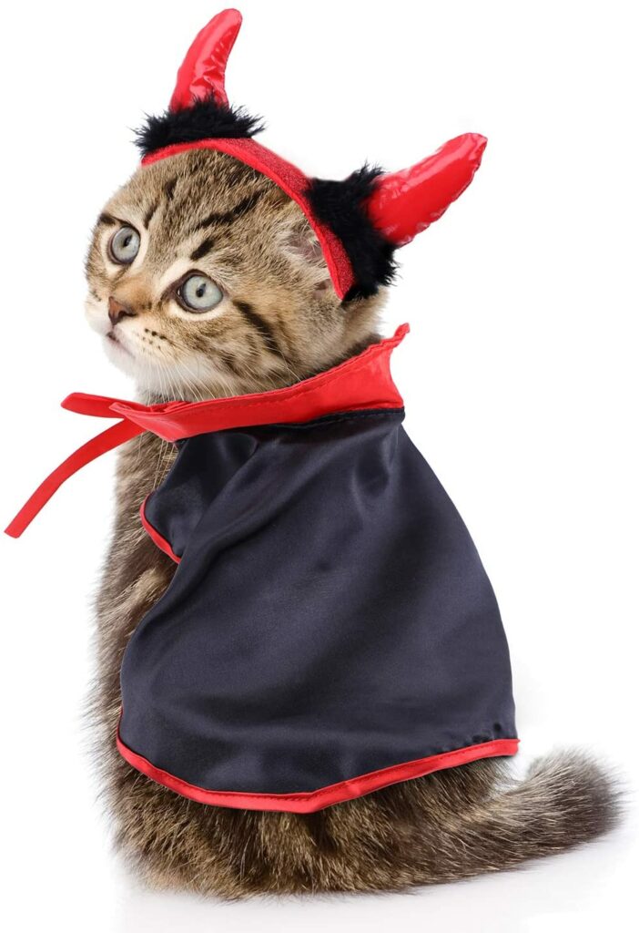 Jetect Cat Cape and Horns