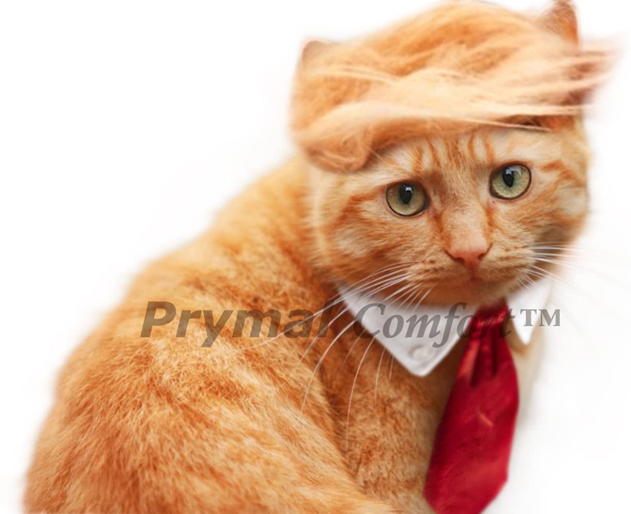 Prymal Comfort Trump Costume