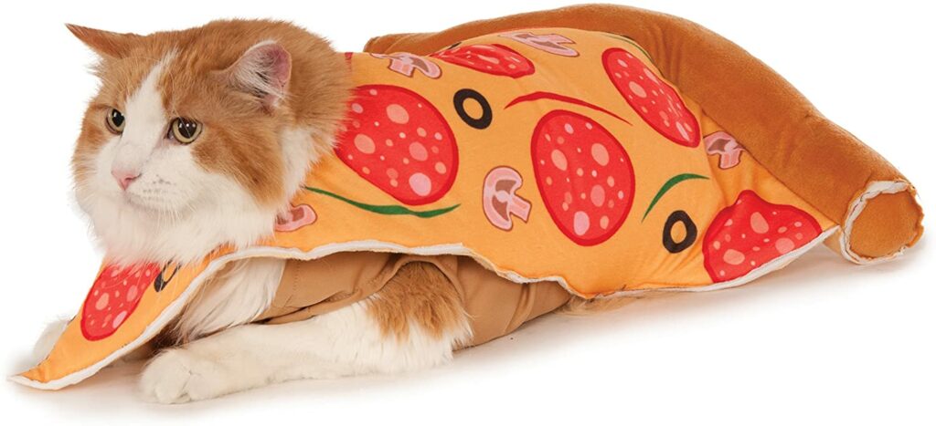 Rubie’s Costume Company Pizza Slice