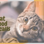 Cat Food Recalls