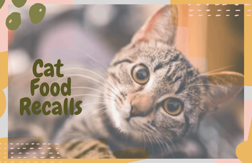 Science Diet Cat Food Recall 2020 at Rodney Hall blog