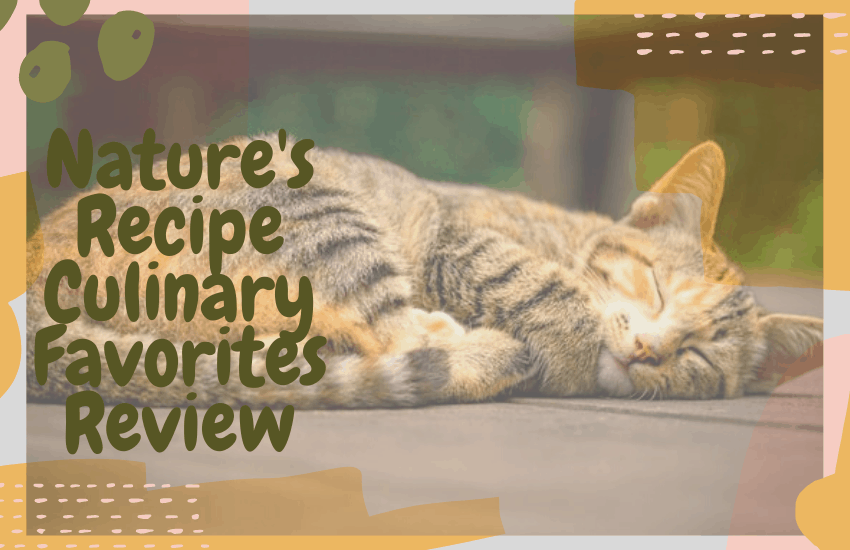 Nature's Recipe Culinary Favorites Review