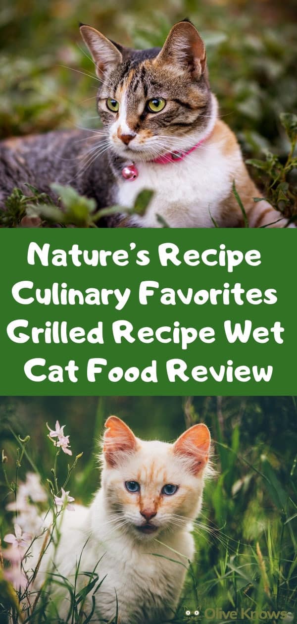 Nature's Recipe Culinary Favorites Grilled Recipe Wet Cat Food Review