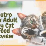 Nutro Max Adult Dry Cat Food Review