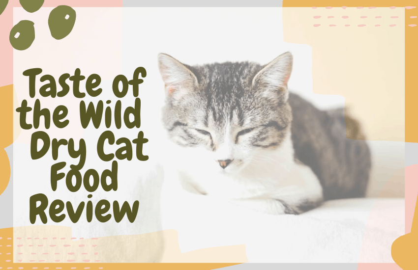 taste of the wild rocky mountain review