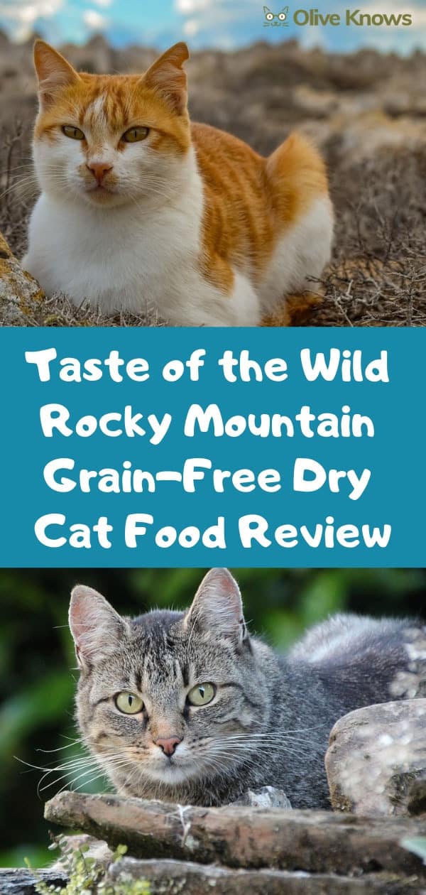 taste of the wild rocky mountain review