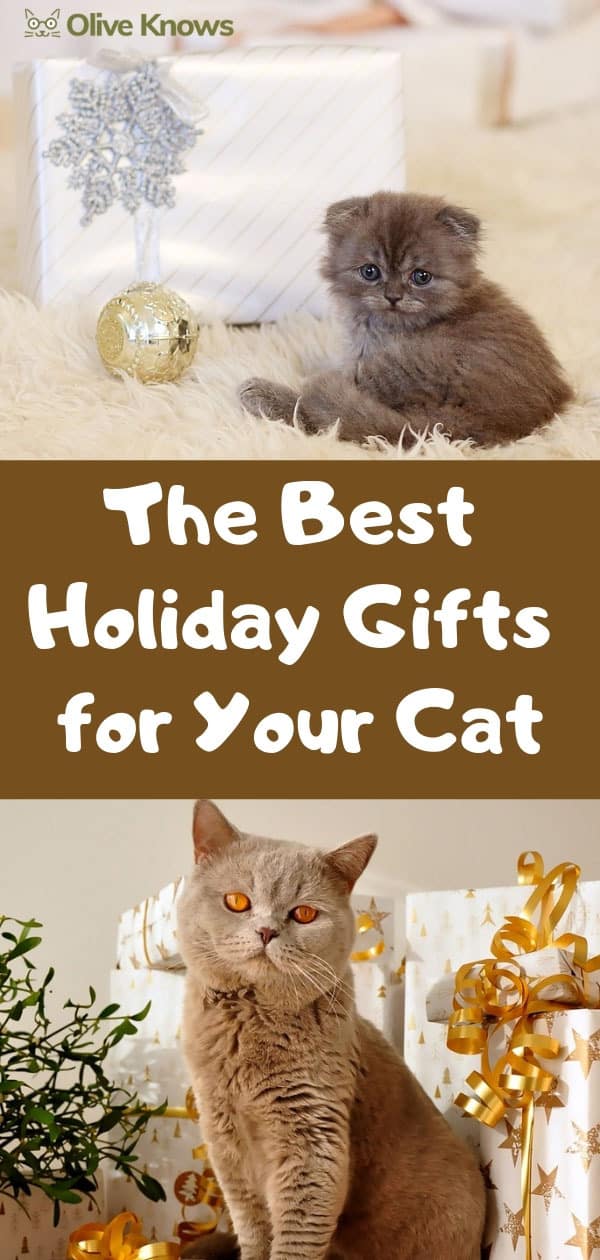  The Best Holiday Gifts for Your Cat